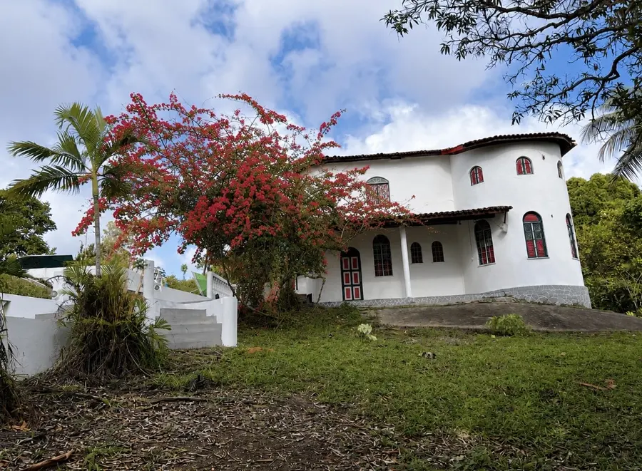 Bougainvillea in bloei naast het huis.